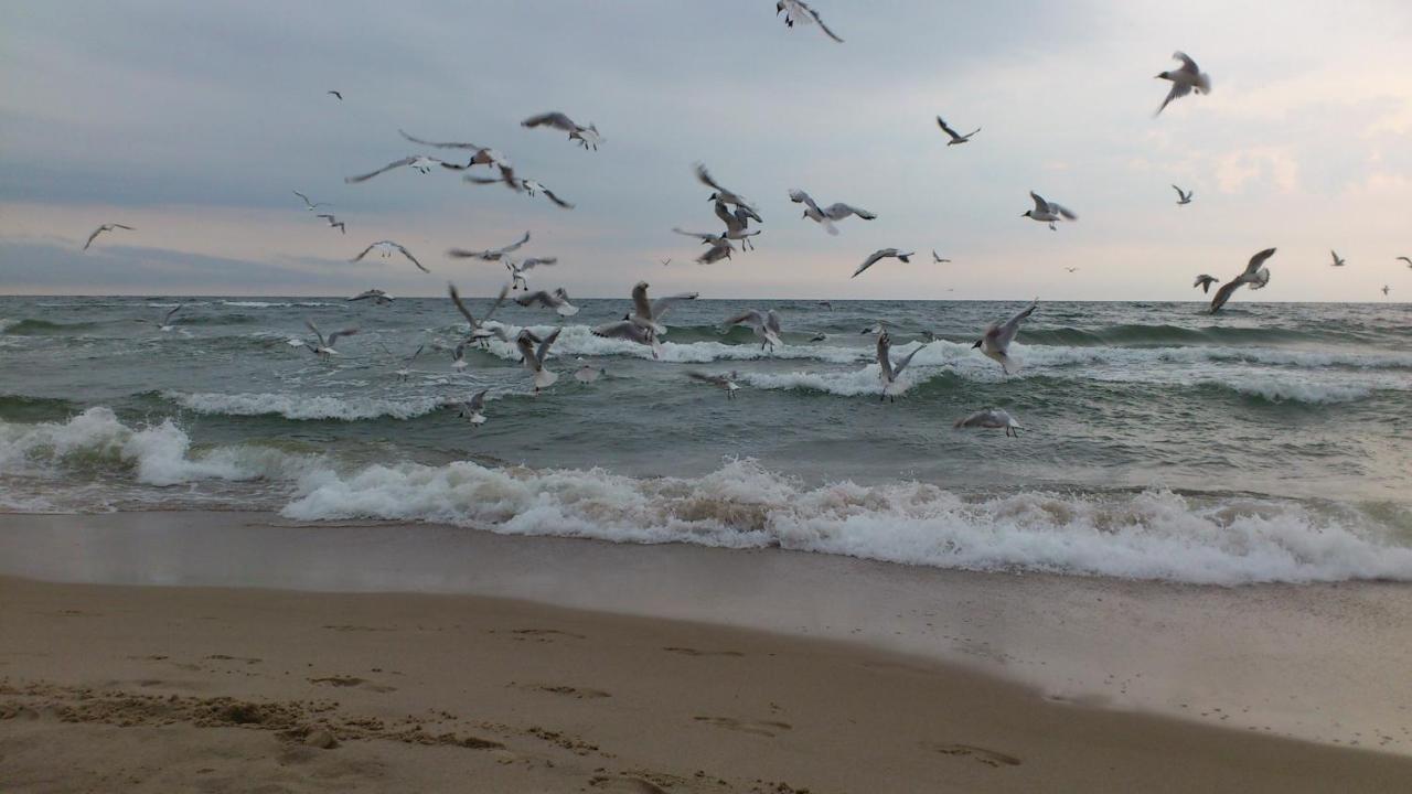 Pokoje Goscinne Fala Pobierowo Exterior foto